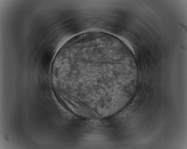 X0000093100911200710171158