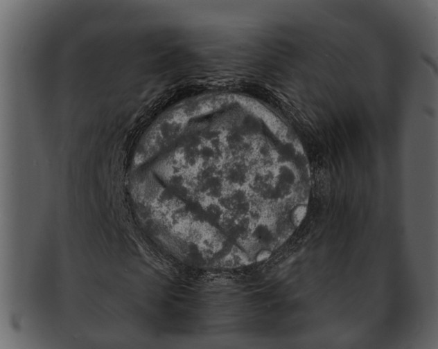 X0000093100913200710171157