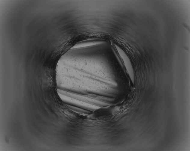 X0000093100916200710171157