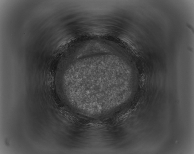 X0000093100917200710171157