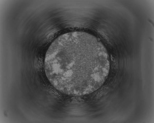 X0000093100918200710171157