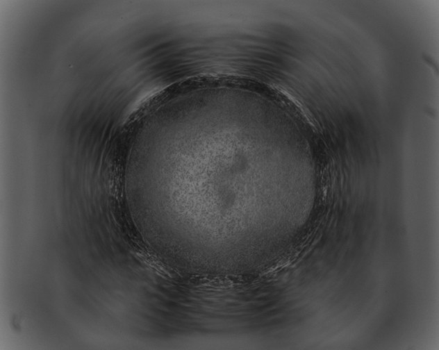 X0000093100919200710171157