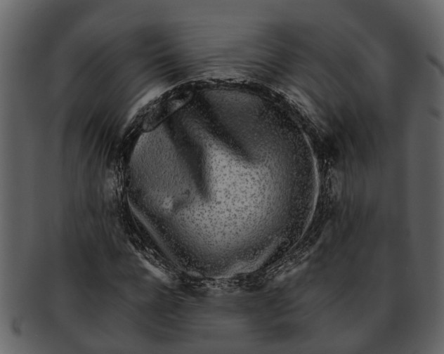 X0000093100920200710171157