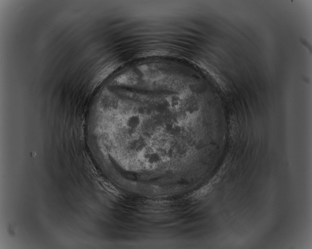 X0000093100921200710171157