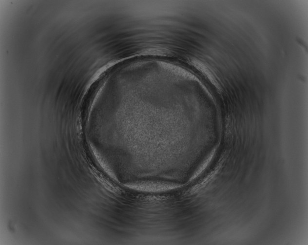 X0000093100923200710171157