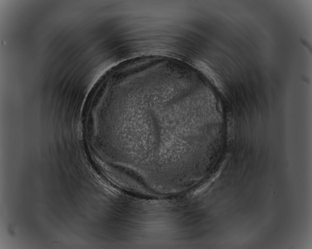 X0000093100924200710171157