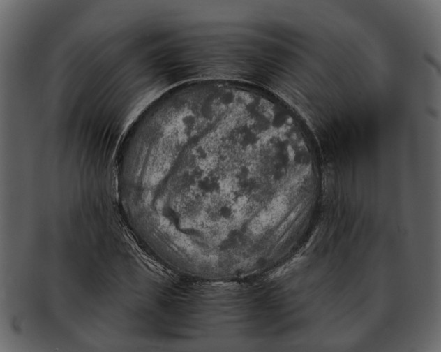 X0000093100925200710171157