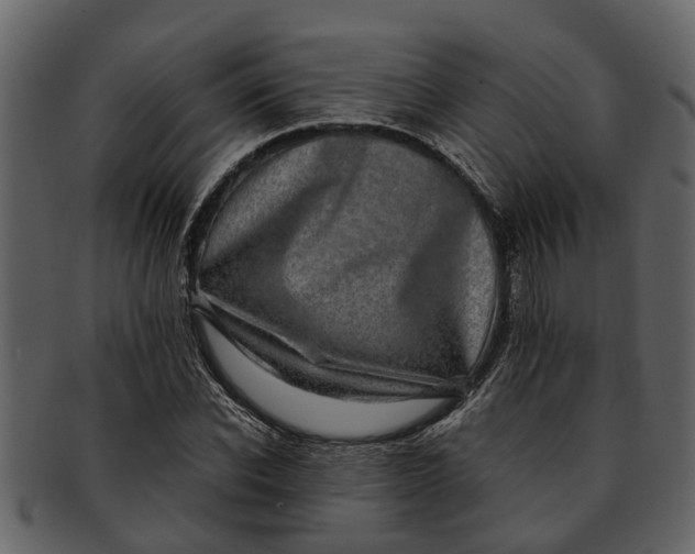 X0000093100926200710171157