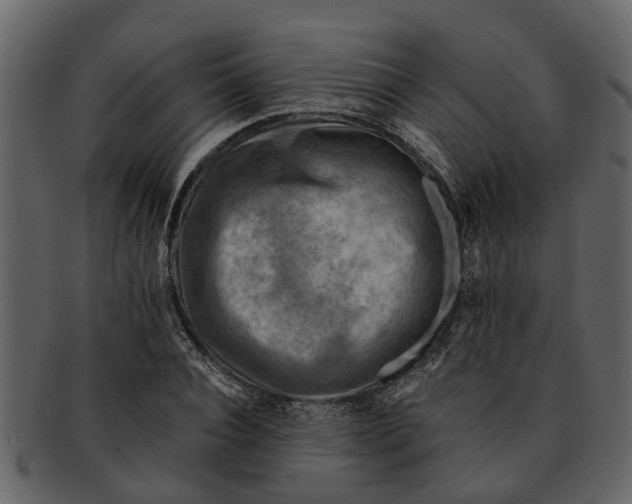 X0000093100928200710171157