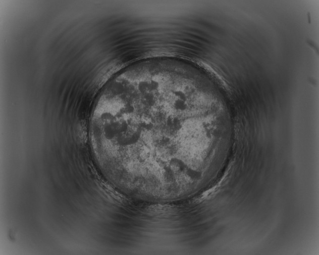 X0000093100929200710171157