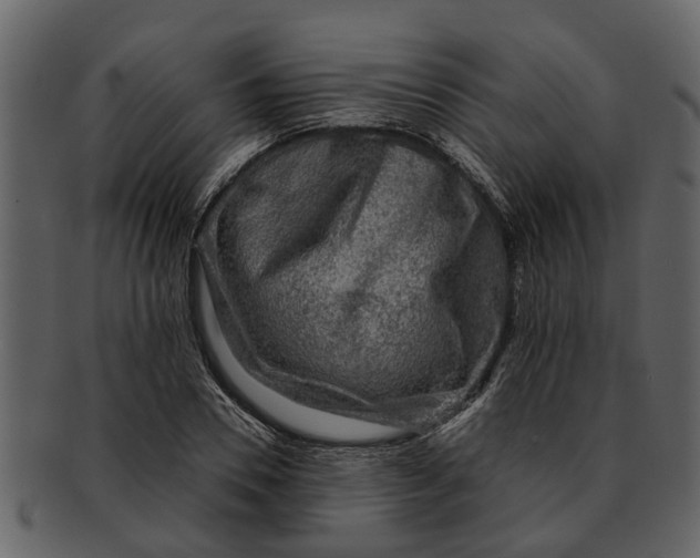 X0000093100930200710171157