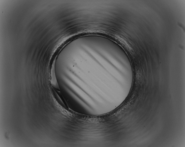 X0000093100934200710171157