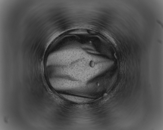 X0000093100936200710171157