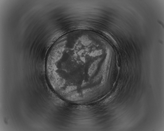 X0000093100938200710171157