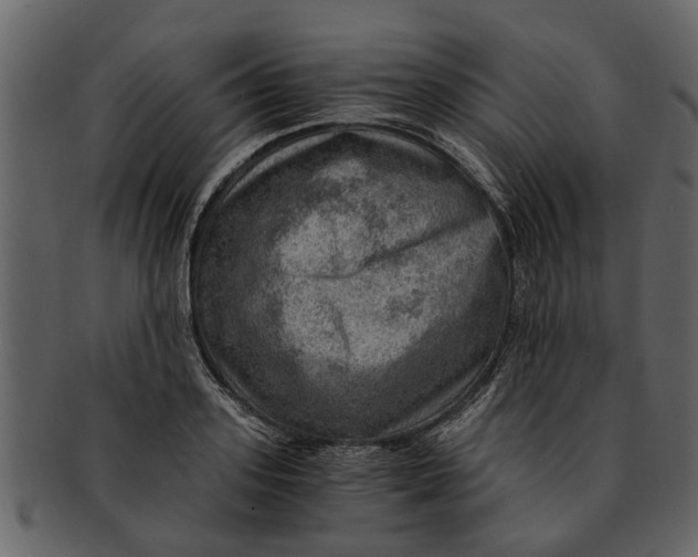 X0000093100939200710171157