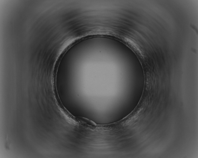 X0000093100942200710171157