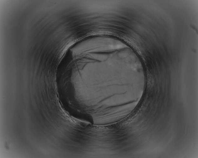 X0000093100945200710171157