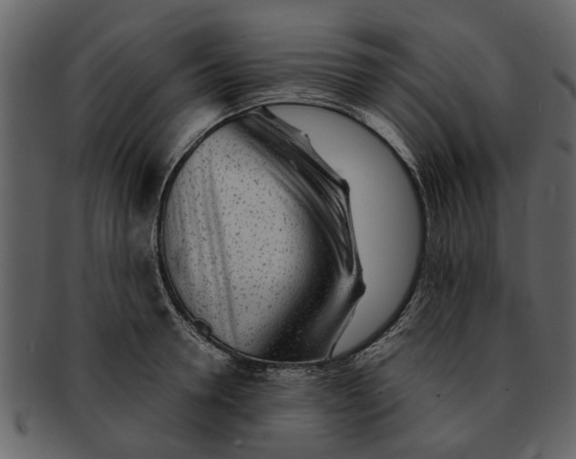 X0000093100946200710171157