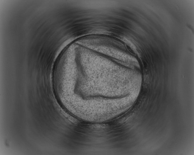 X0000093100947200710171157