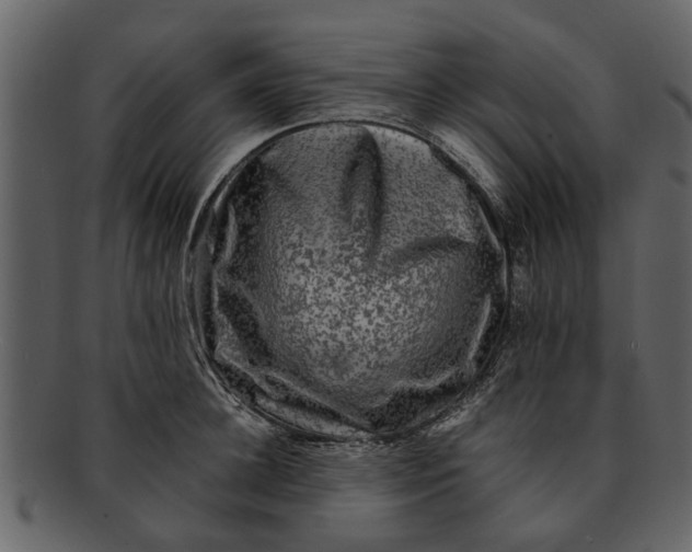 X0000093100948200710171157