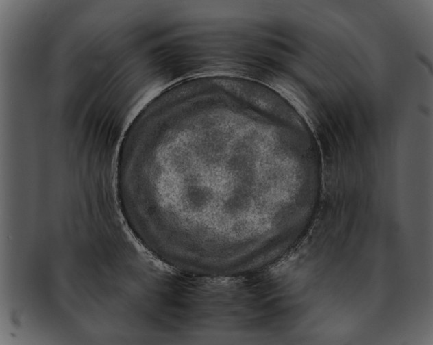 X0000093100949200710171157