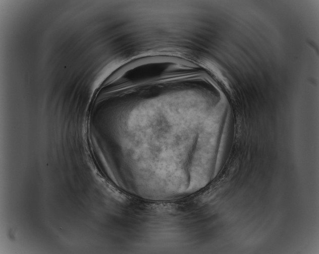 X0000093100952200710171157