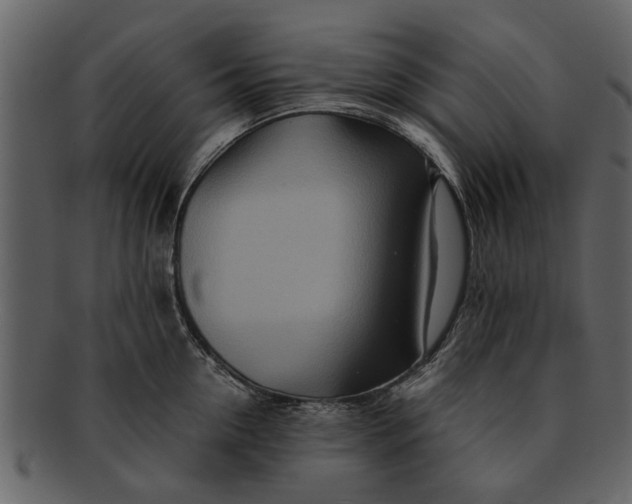 X0000093100954200710171157