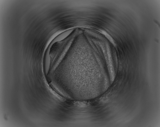 X0000093100955200710171157
