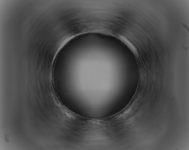 X0000093100956200710171157