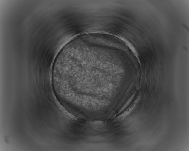 X0000093100957200710171158