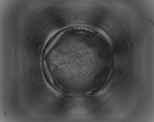 X0000093100958200710171158