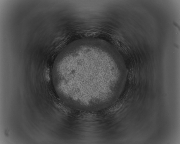 X0000093100962200710171157