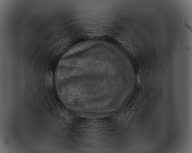 X0000093100963200710171157
