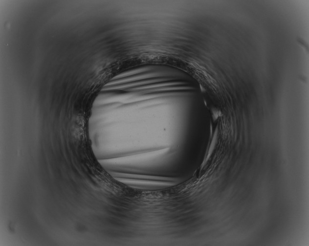 X0000093100964200710171157