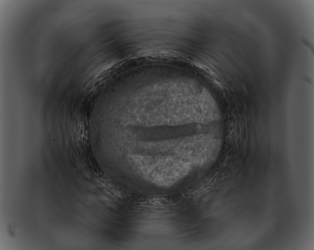 X0000093100966200710171157
