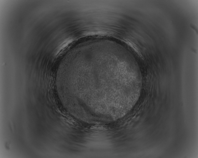 X0000093100967200710171157