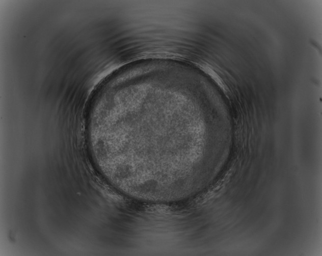 X0000093100971200710171157