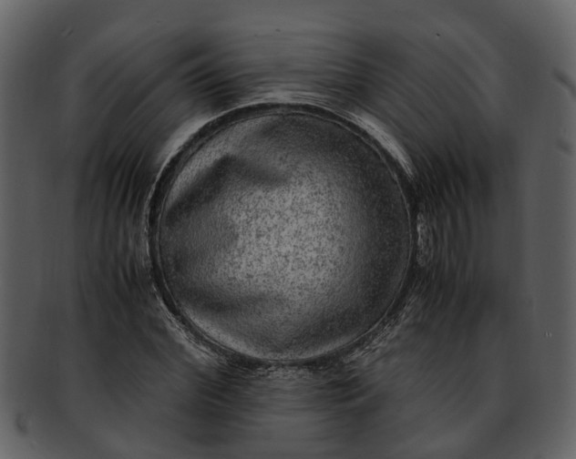 X0000093100972200710171156