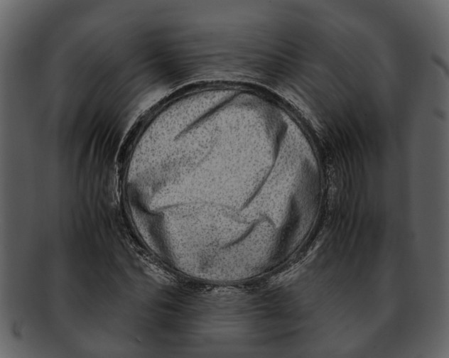 X0000093100974200710171156