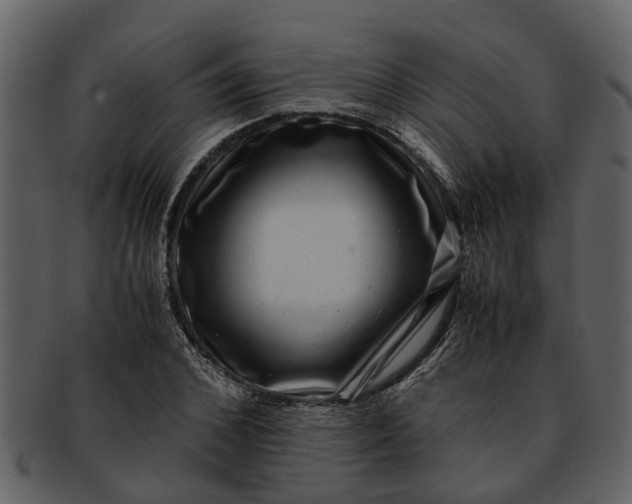 X0000093100976200710171156
