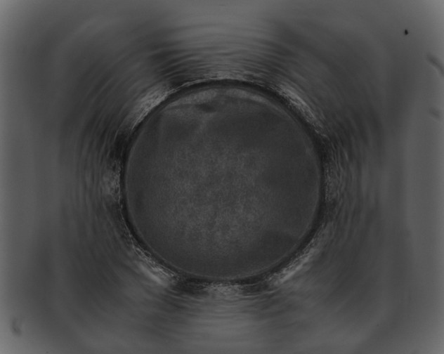 X0000093100977200710171156