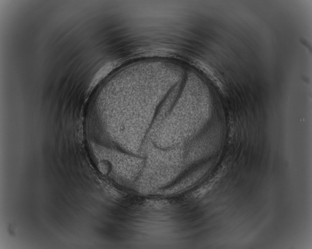 X0000093100978200710171156