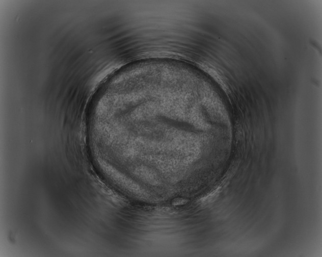 X0000093100979200710171156