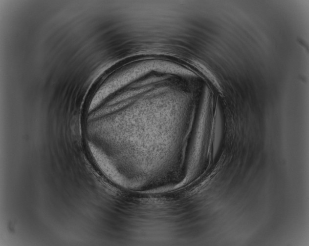 X0000093100980200710171156
