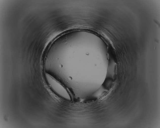 X0000093100981200710171156