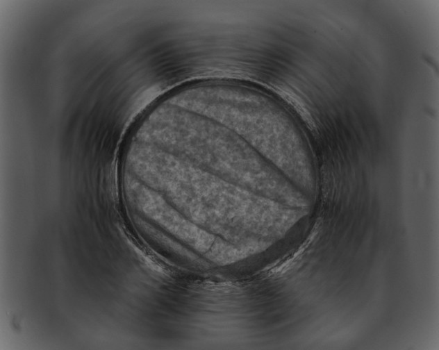 X0000093100982200710171156