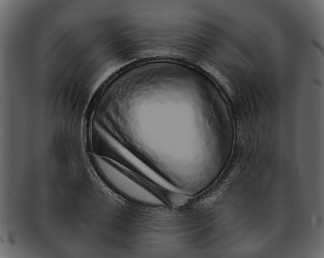 X0000093100983200710171156