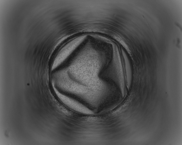 X0000093100984200710171156