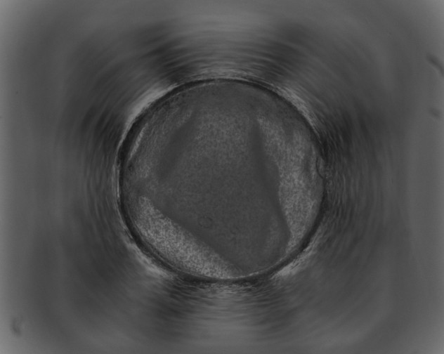 X0000093100987200710171156