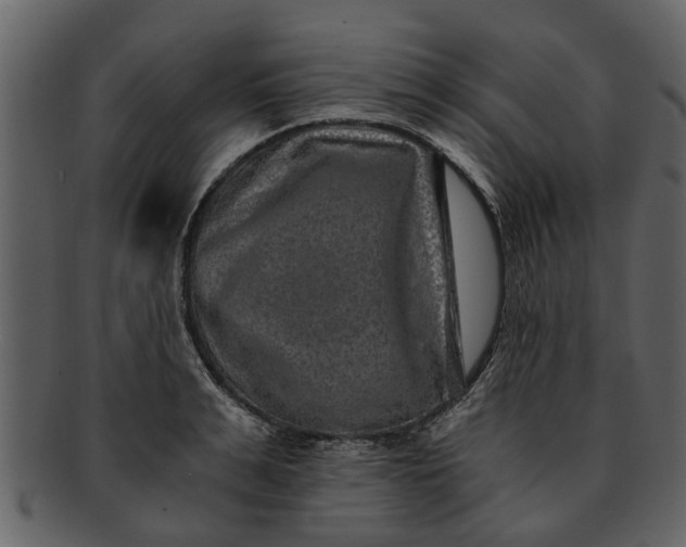X0000093100991200710171156